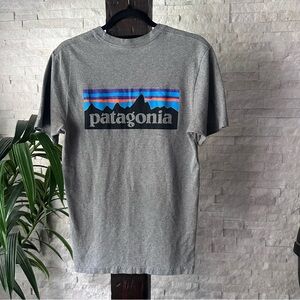 PATAGONIA Grey Gravel Heather Regular Fit Men’s Tee Shirt Size Small